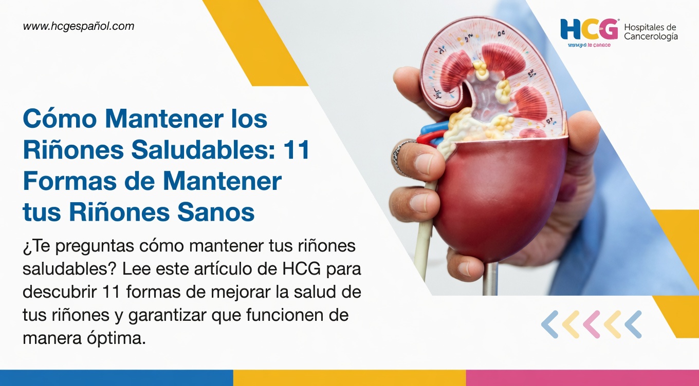 Descubre 7 maneras naturales de apoyar tus riñones y promover una función saludable de forma natural cada día