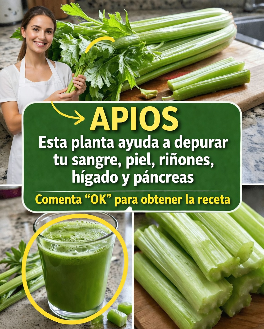 Cómo el apio puede integrarse en tu rutina de bienestar: receta fácil de jugo y consejos prácticos para probar hoy
