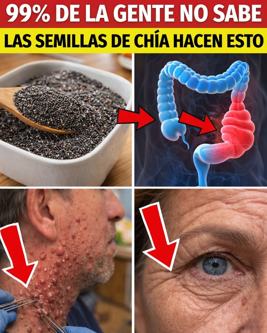 5 errores críticos que cometes al remojar semillas de chía y cómo hacerlo bien