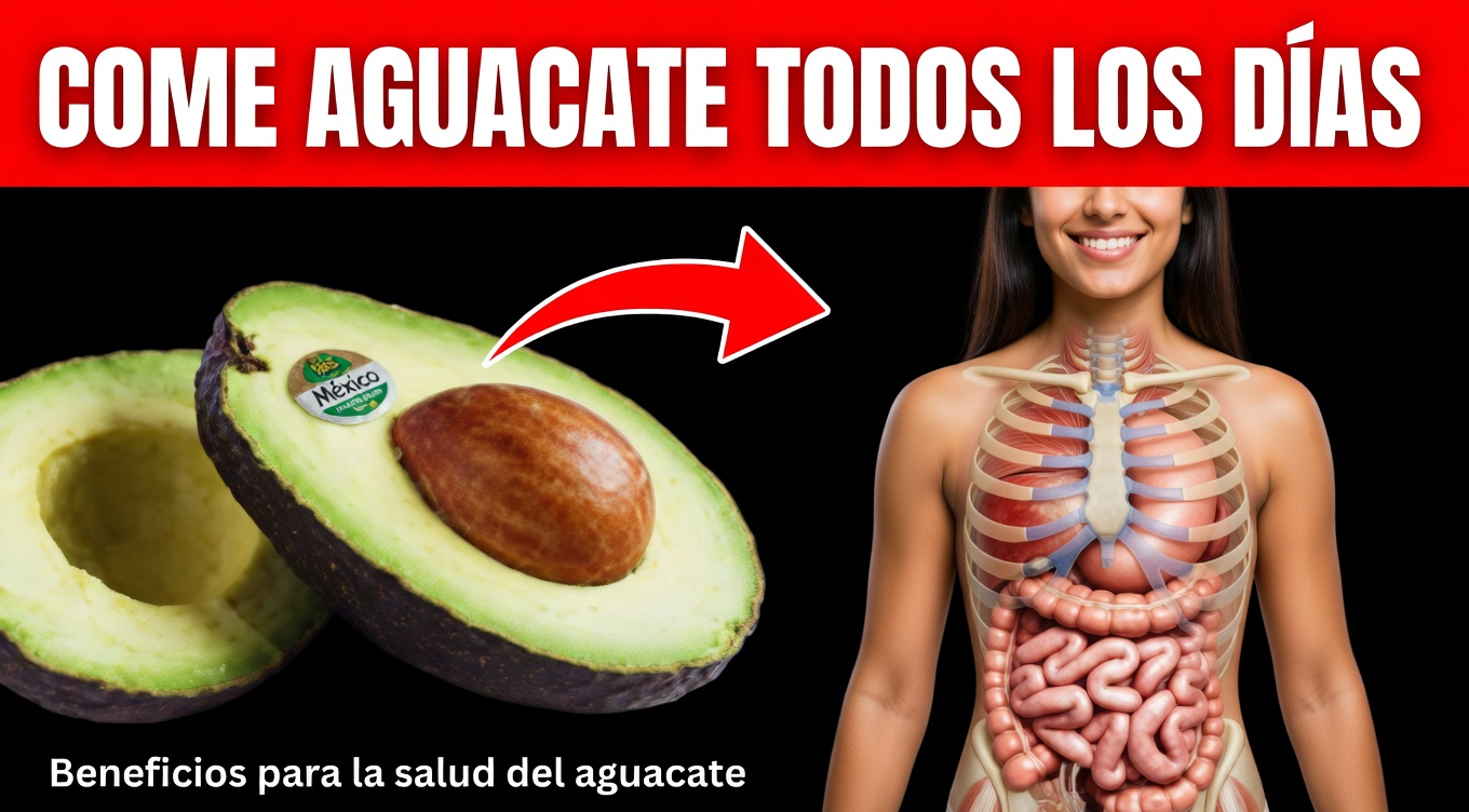 ¿Has probado el té de semilla de aguacate para apoyar tu bienestar diario?