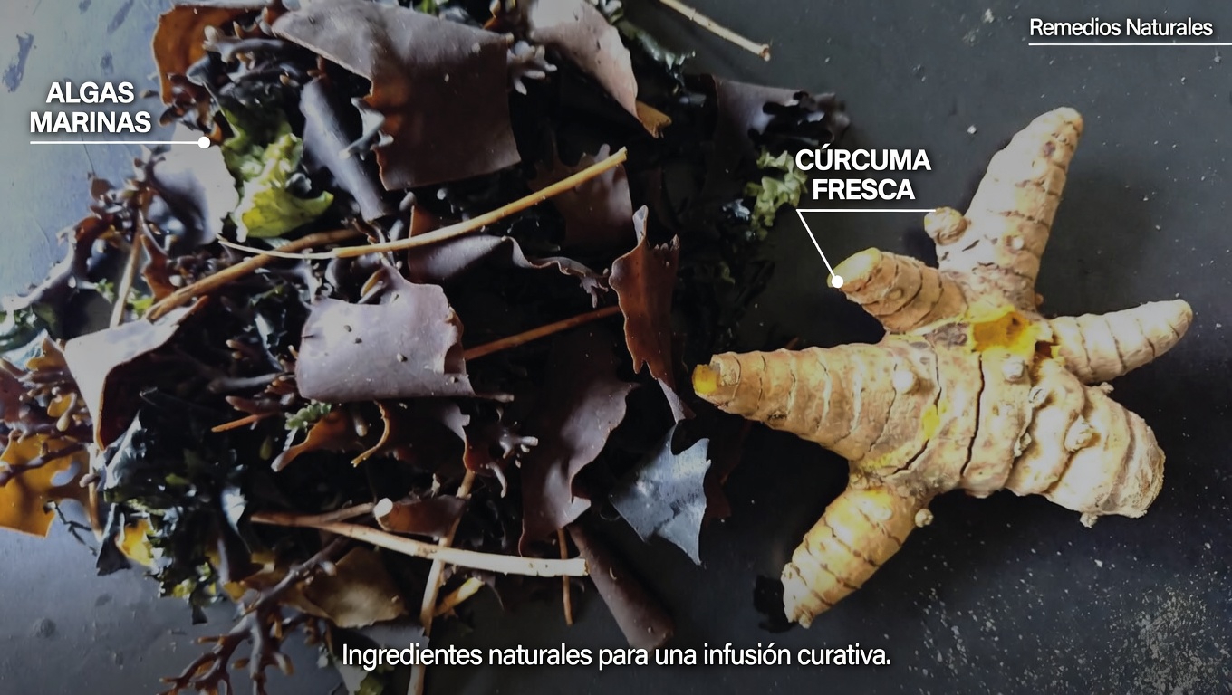 Formas sencillas de apoyar la salud de tu tiroides mediante hábitos diarios y elecciones alimentarias