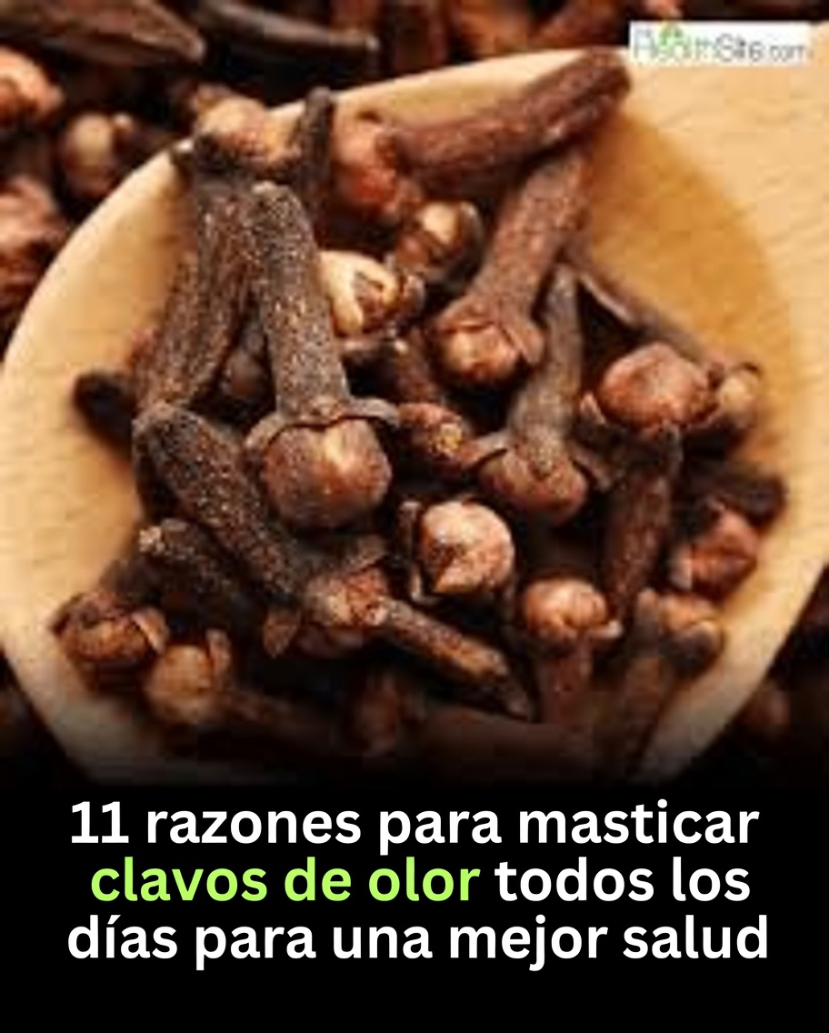 ¿Qué son los clavos de olor y por qué son especiales?
