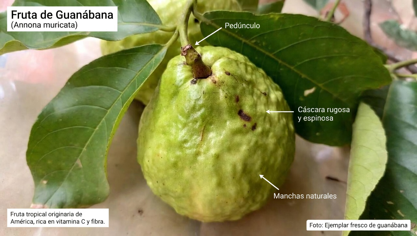 Explorando formas naturales de favorecer la salud ocular con guayaba: una guía de hábitos cotidianos