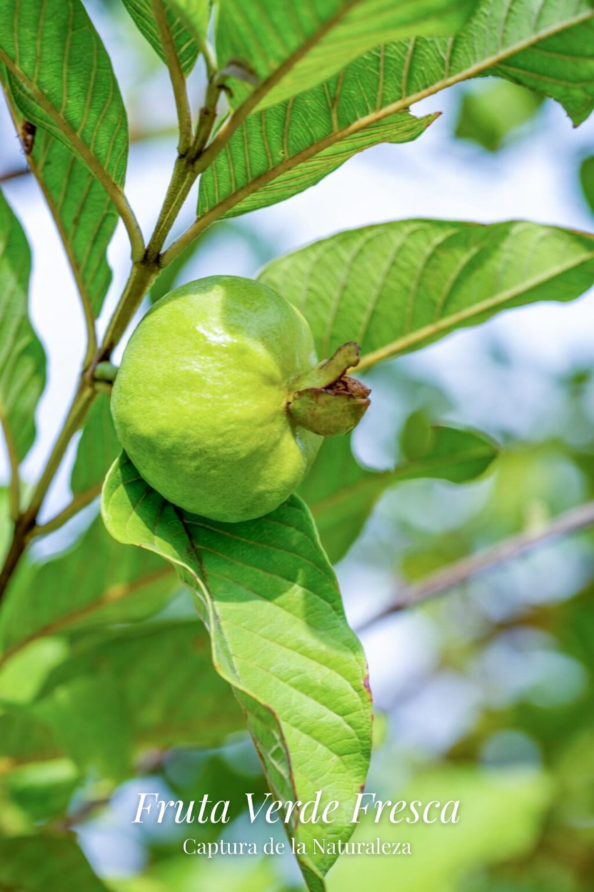 ¿Podría esta fruta cotidiana ayudar a proteger sus ojos a medida que envejece?