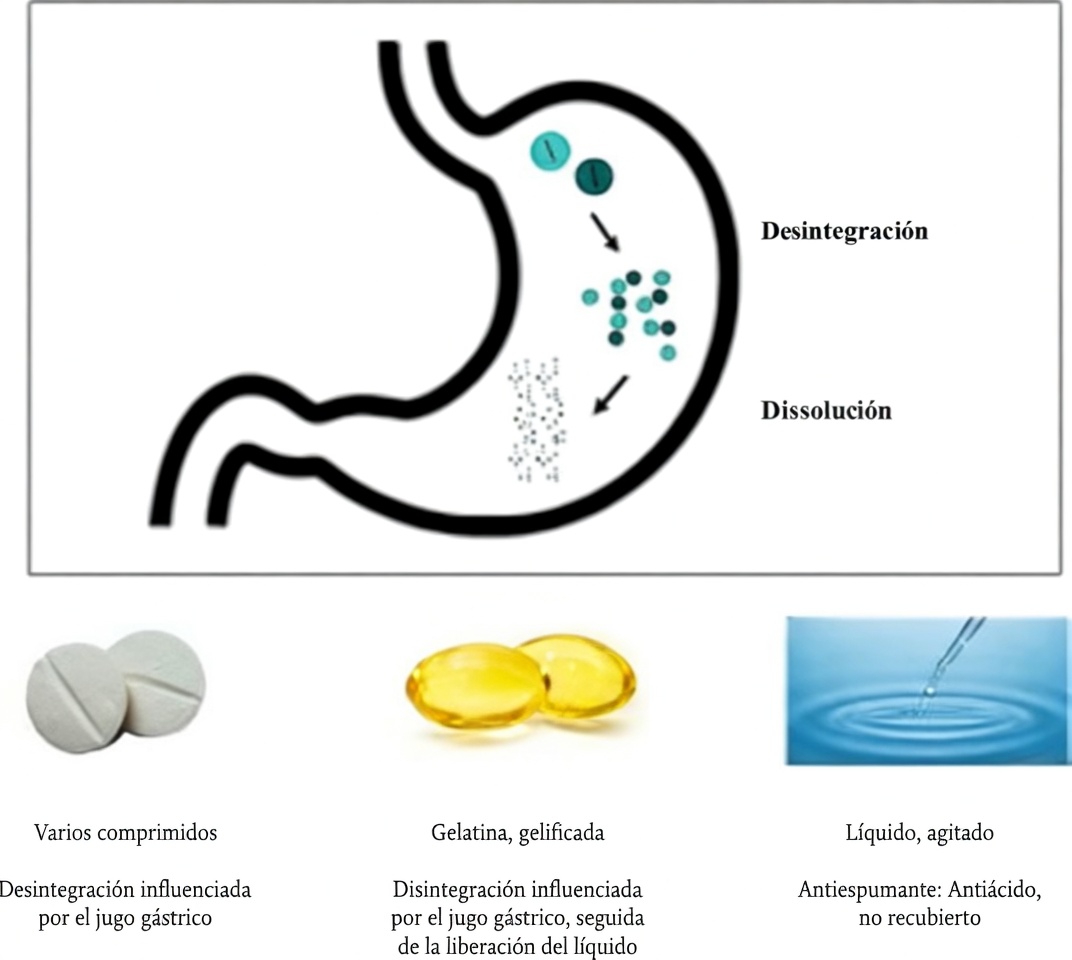¿Estás tomando la levotiroxina de forma incorrecta cada mañana? Hábitos que muchos pacientes pasan por alto
