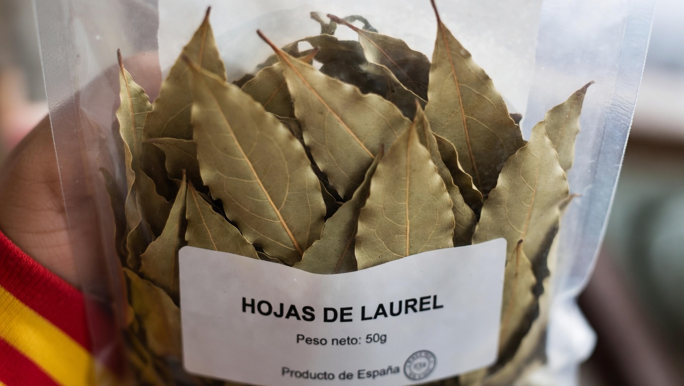 Explorando el posible papel de apoyo de las hojas de laurel y los clavos de olor en el bienestar renal: una sencilla guía de infusión herbal