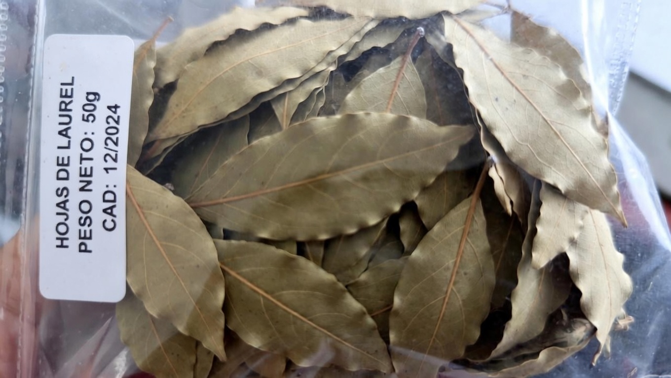 Explorando el posible papel de apoyo de las hojas de laurel y los clavos de olor en el bienestar renal: una sencilla guía de infusión herbal