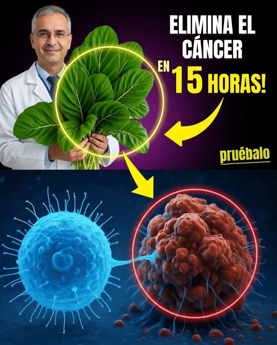 6 hábitos diarios para proteger tus riñones (desde hoy)