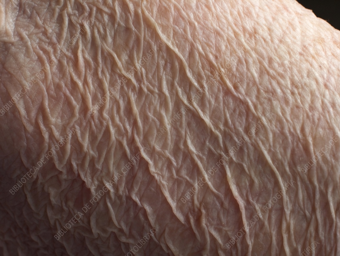 ¿Cometes cada día este error común de 3 minutos en el cuidado de la piel?