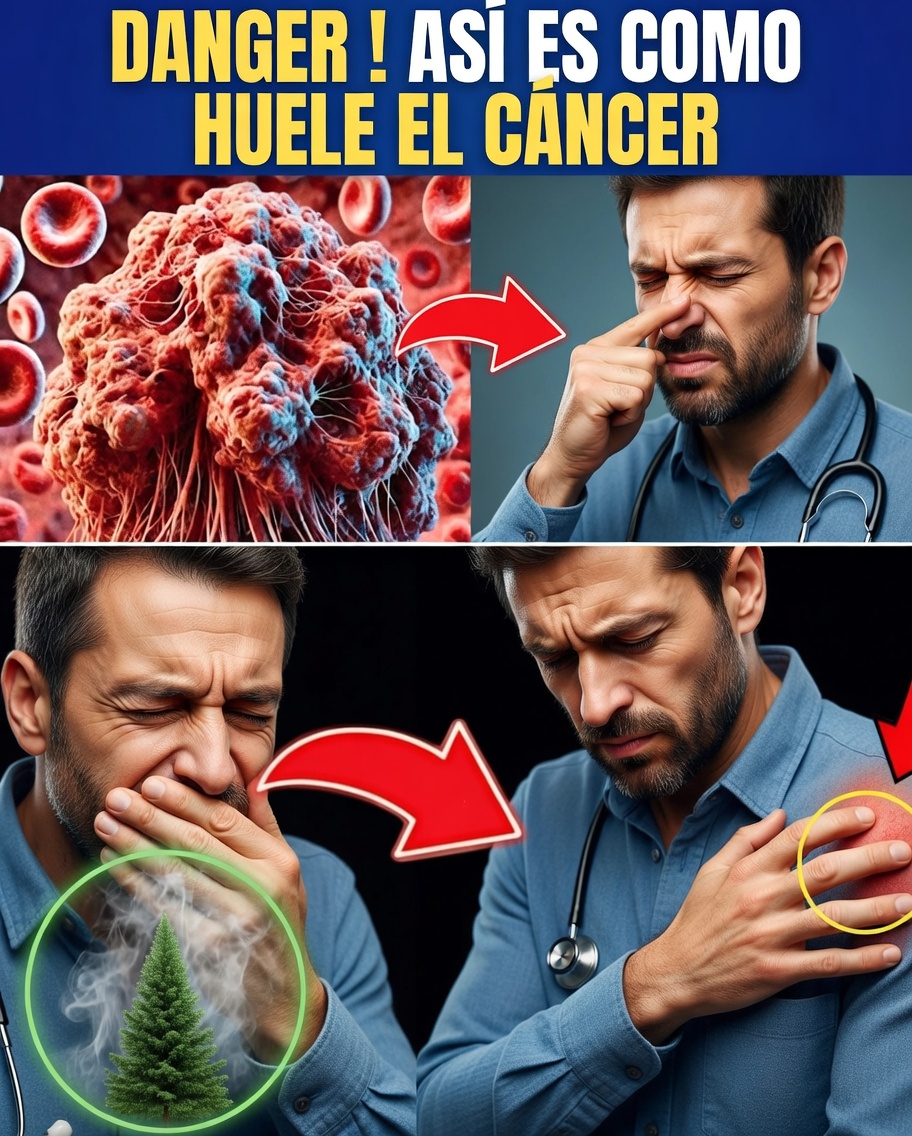 ¿Tiene olor el cáncer? Lo que hay que saber antes de entrar en pánico