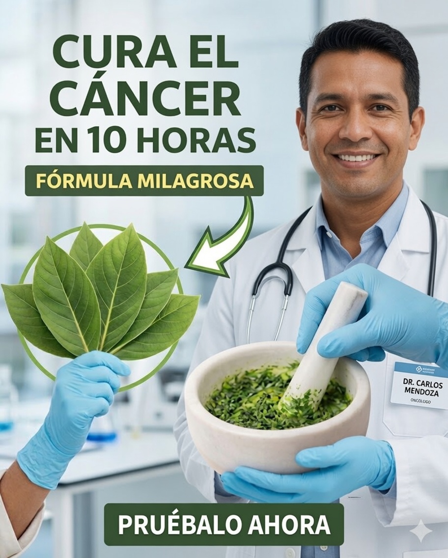 La poderosa hoja de la que todo el mundo habla: beneficios, usos y por qué deberías conocerla