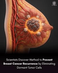 Lo que las investigaciones clínicas recientes están revelando sobre el abordaje de las células tumorales latentes y la recurrencia del cáncer de mama en sobrevivientes