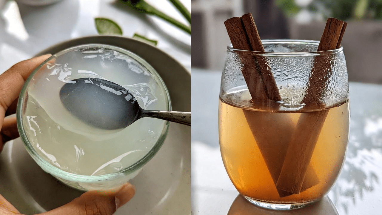 Aloe Vera y canela: explorando ingredientes naturales para el bienestar y el cuidado de los ojos