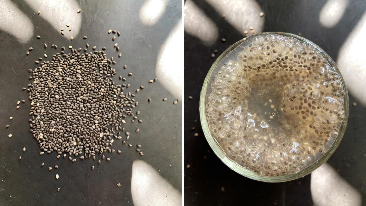 Por qué la salud del colon es importante para la comodidad diaria