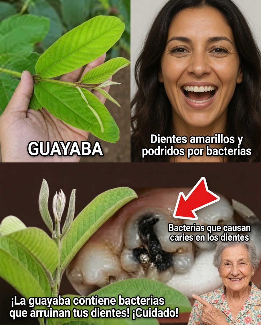 Las 3 mejores maneras de tratar la caries dental con hojas de guayaba: simples y económicas