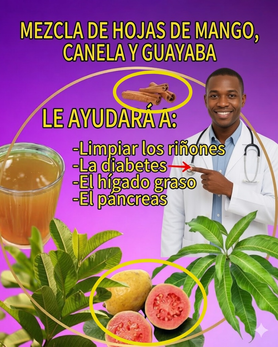 Descubre los beneficios de la infusión de hojas de mango, canela y guayaba