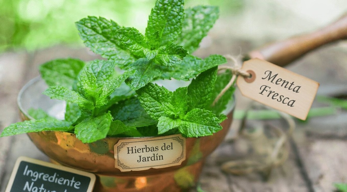 El ladrón silencioso: maneras naturales de cuidar tus arterias sin recurrir a la farmacia