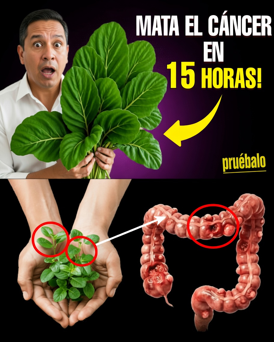 La hoja pasada por alto que puede ayudar a tu cuerpo a combatir las células cancerosas (y 14 estrategias naturales más que la gran industria farmacéutica no quiere que conozcas)