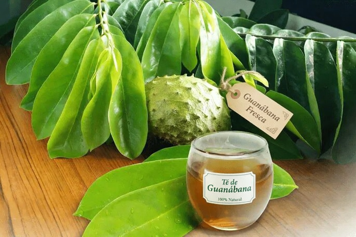 La hoja pasada por alto que puede ayudar a tu cuerpo a combatir las células cancerosas (y 14 estrategias naturales más que la gran industria farmacéutica no quiere que conozcas)