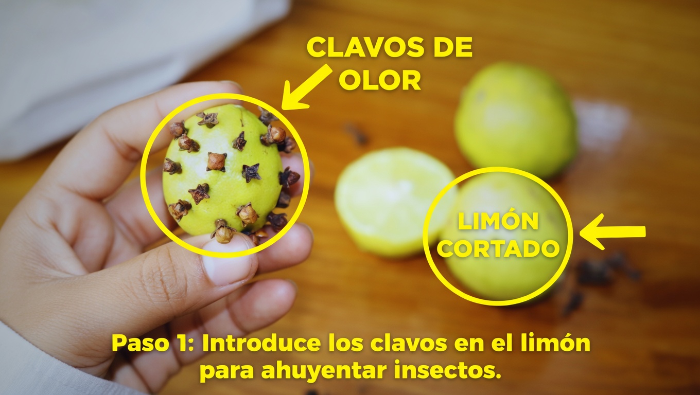 Descubre una combinación natural para la salud en casa