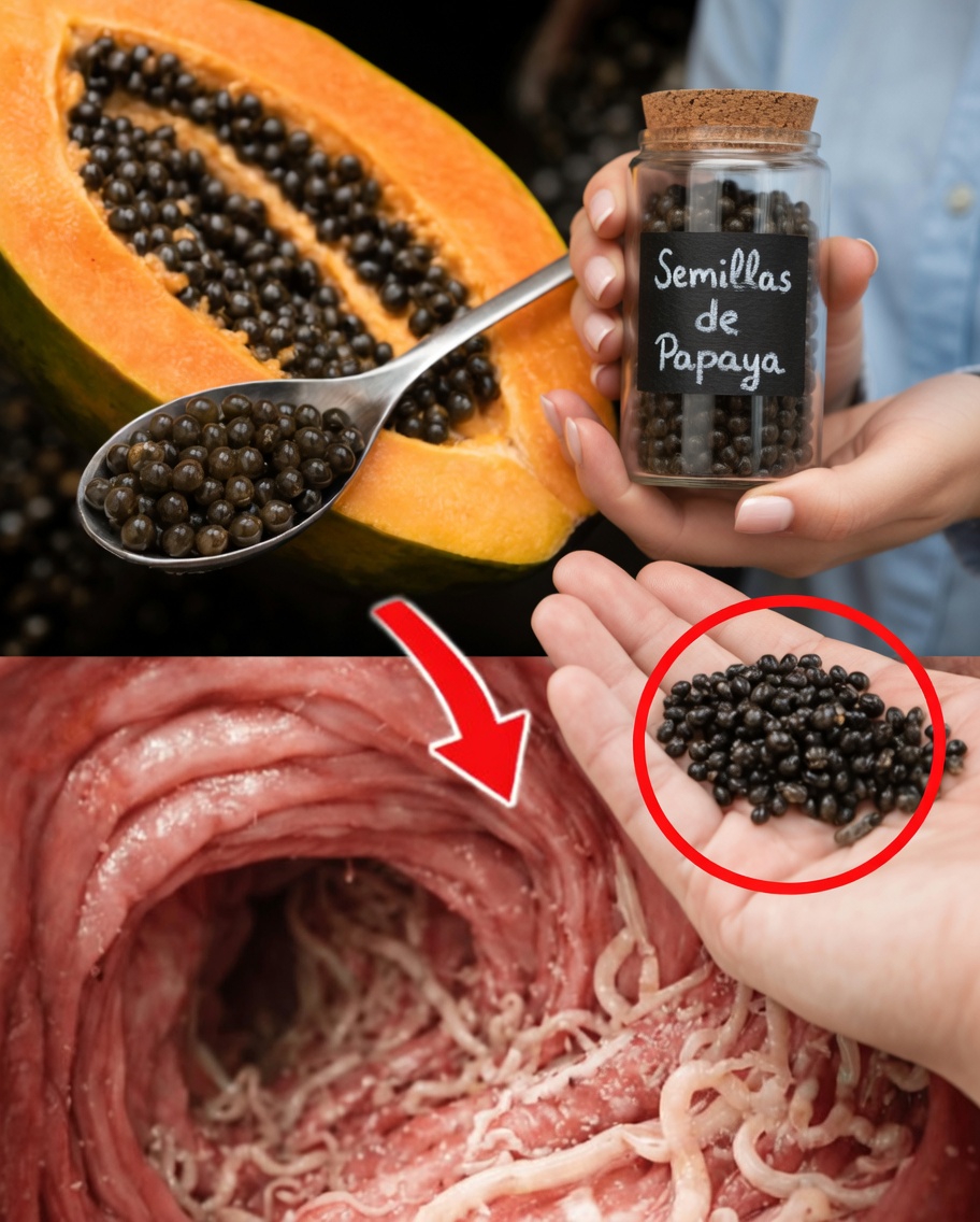 El superalimento pasado por alto en tu frutero: 14 increíbles beneficios de las semillas de papaya que podrían transformar tu bienestar diario