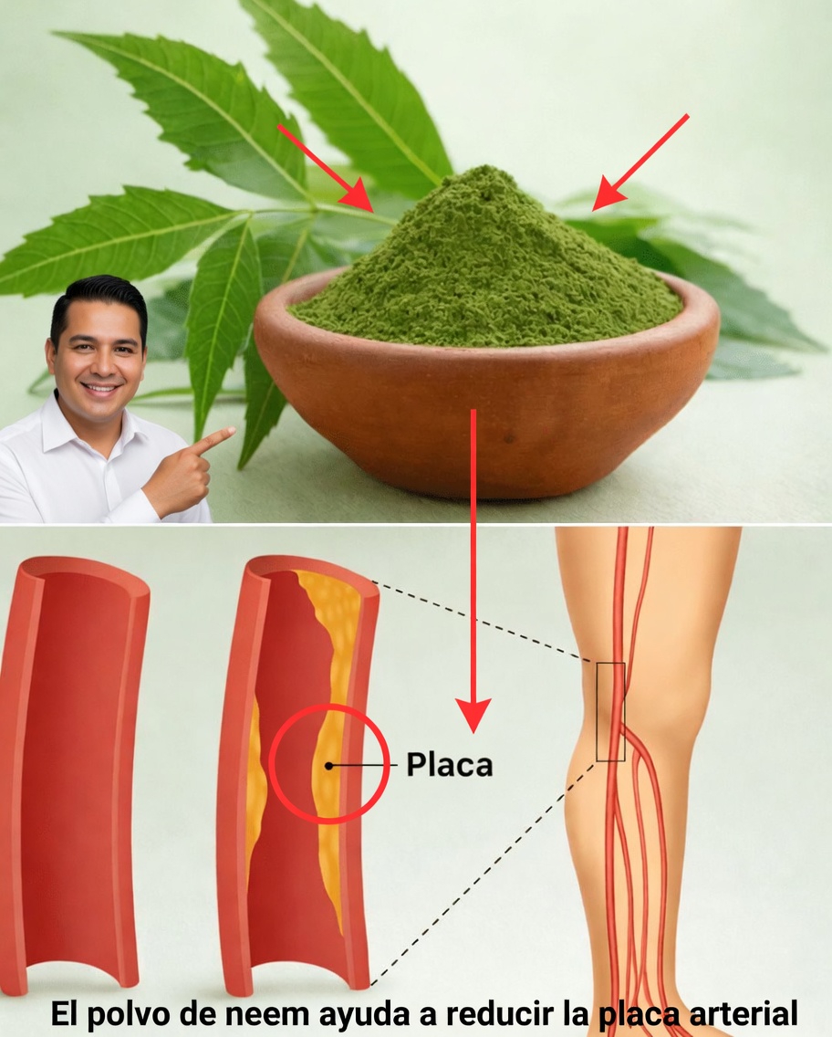 La única hoja amarga que está volviendo silenciosamente obsoletos los pastilleros para los estadounidenses mayores de 60 años