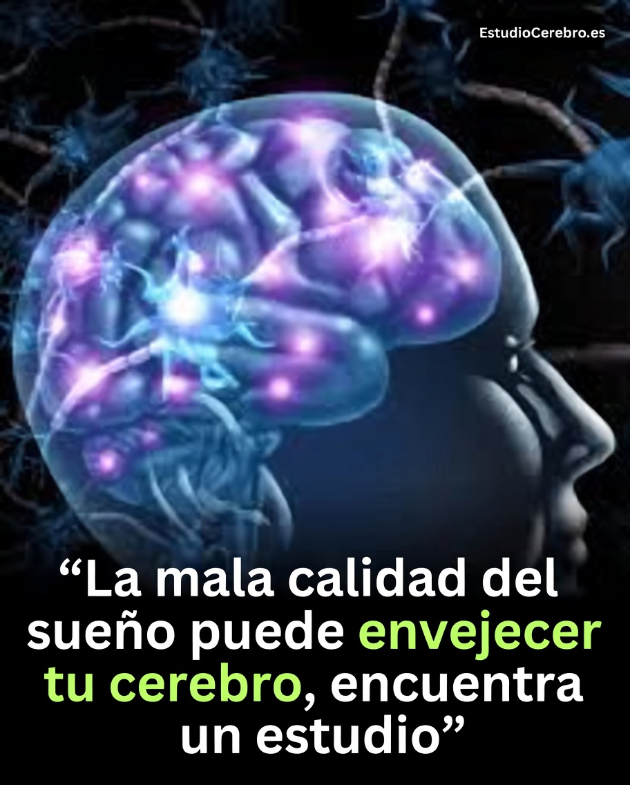 La sorprendente relación entre tus hábitos de sueño y la salud cerebral en la vejez