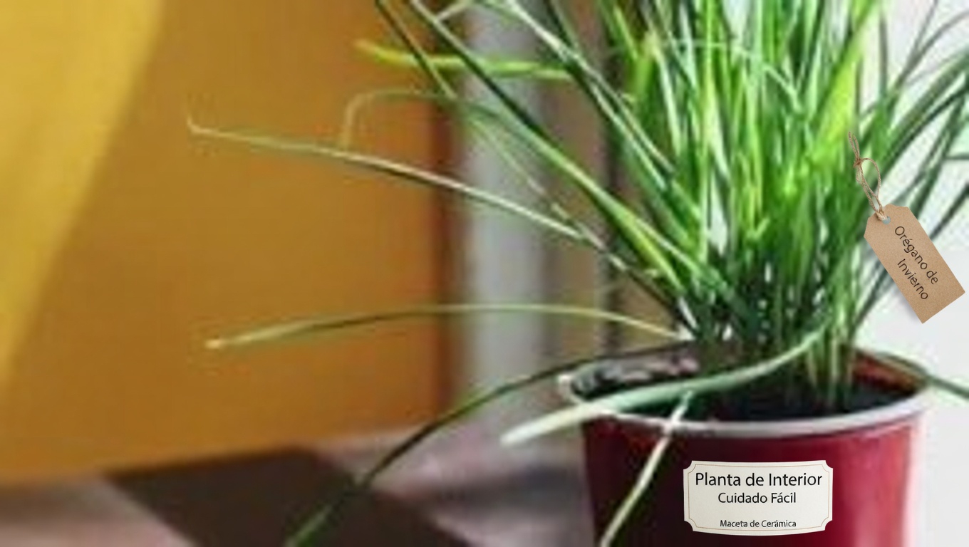 30 poderosos beneficios de la Alternanthera sessilis