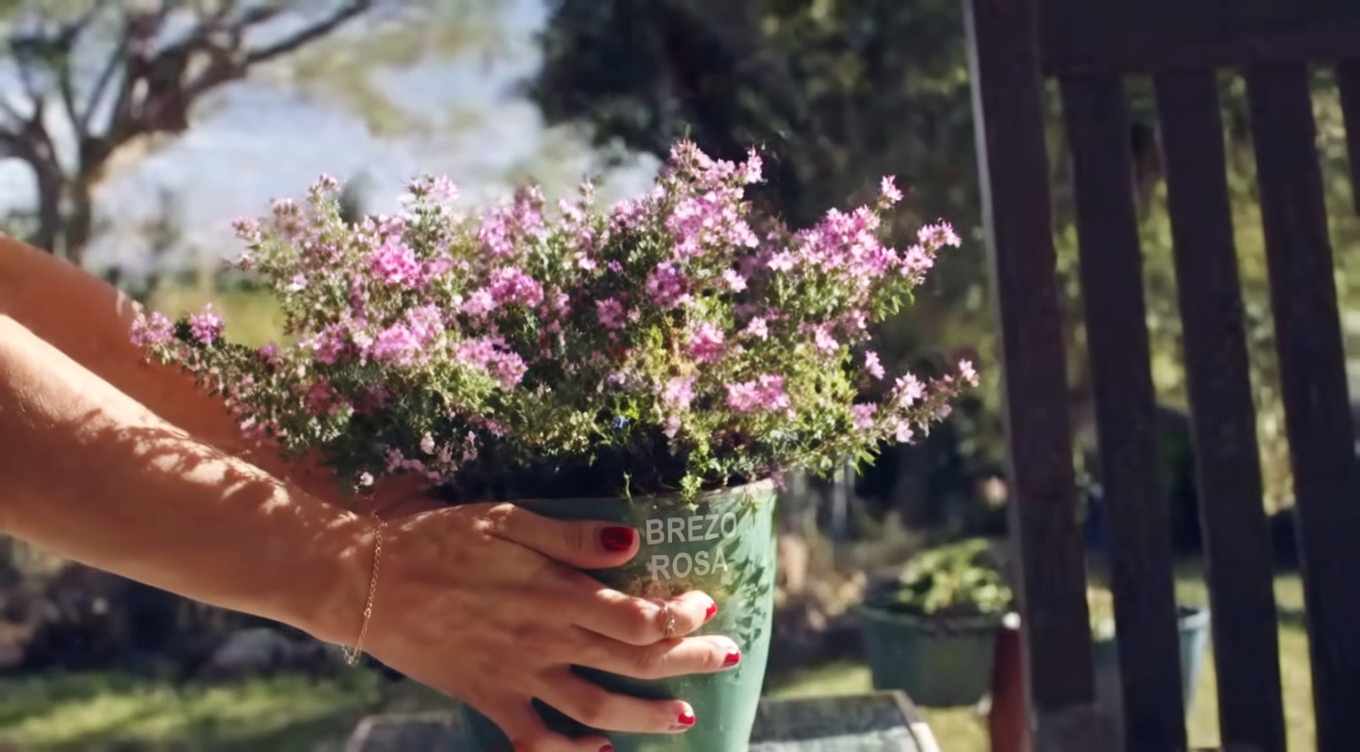 Control natural de plagas: usar pimiento rojo picante para repeler pulgones y caracoles