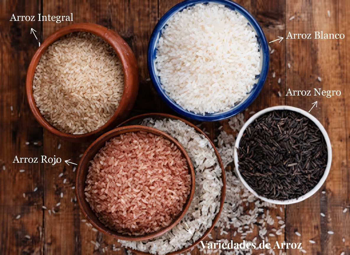 3 tipos de arroz para incluir en una dieta amigable con los riñones para el bienestar diario