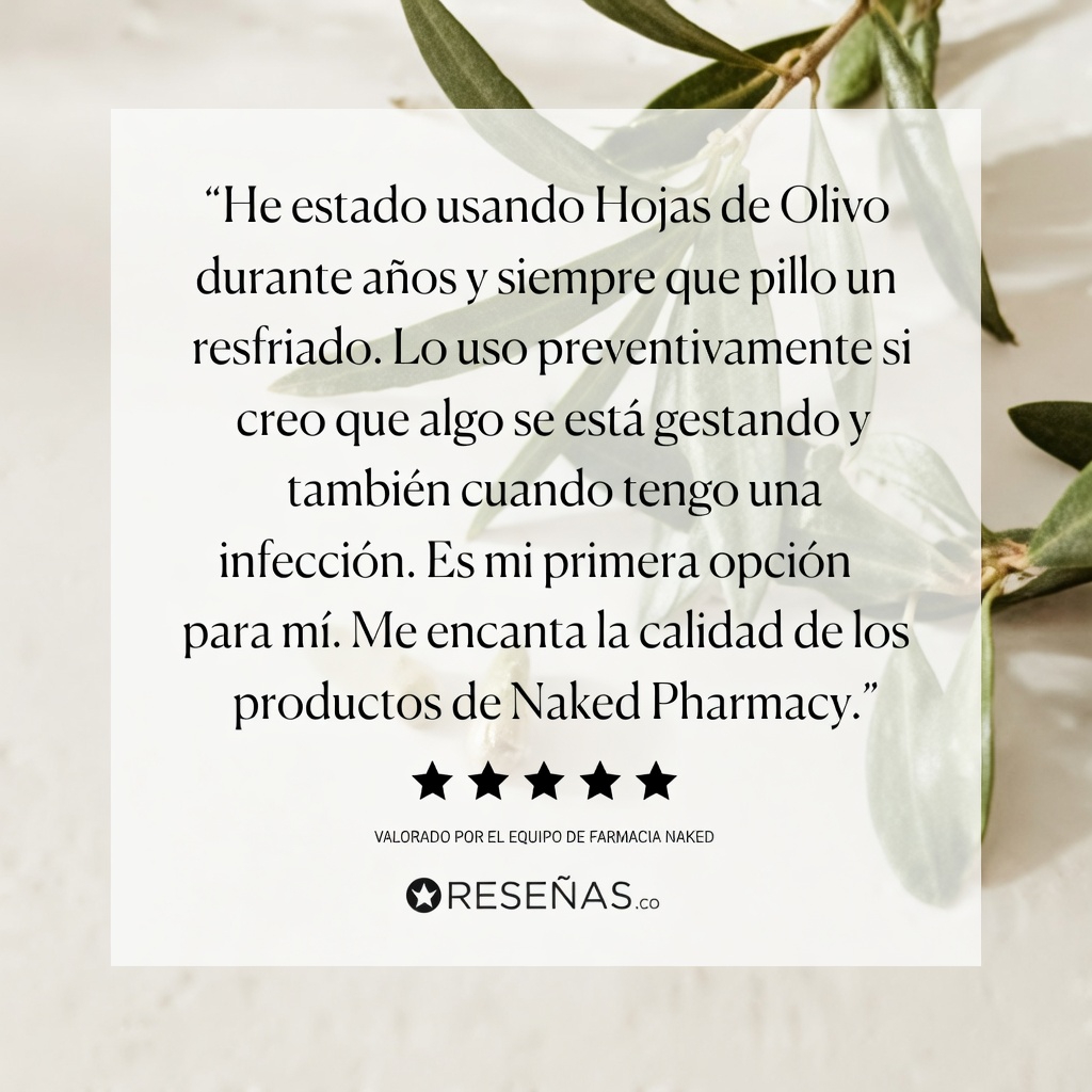 ¿Puede la hoja de olivo favorecer el bienestar? Lo que la ciencia realmente dice sobre los hábitos herbales naturales