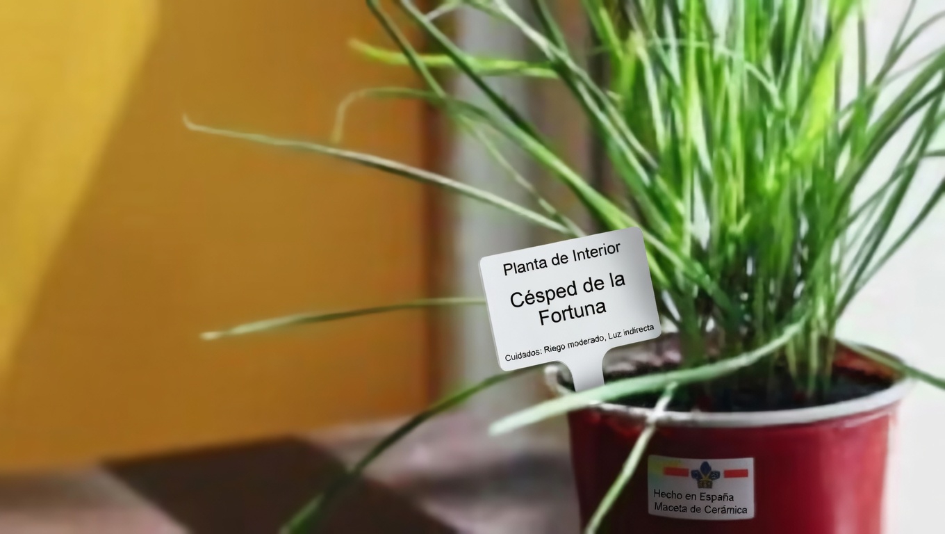 ¿Malezas o maravillas? Descubre los tesoros ocultos en estas 4 plantas comunes