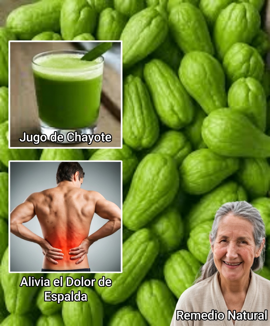 Chayote: una adición sencilla a tu rutina diaria para un mayor bienestar y vitalidad