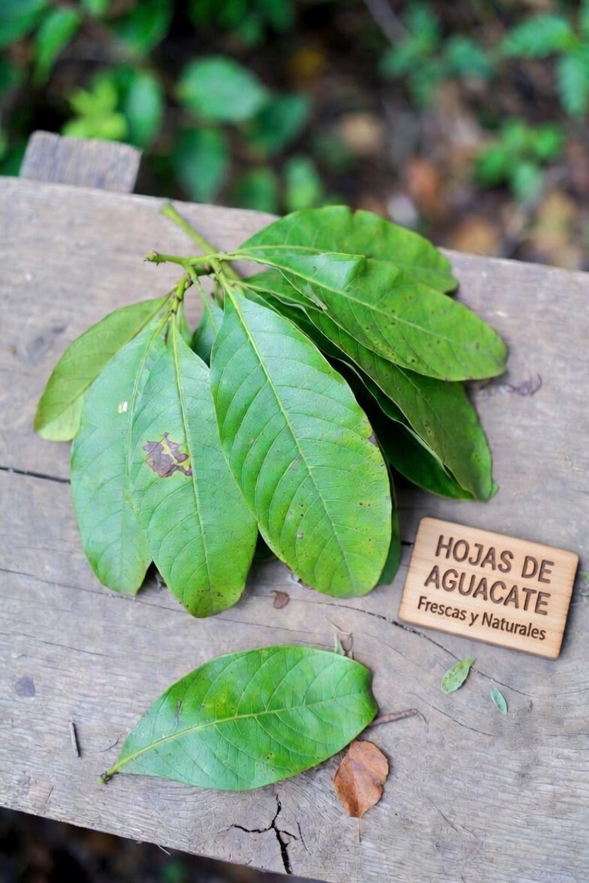 Explorando el potencial del té de hojas de guayaba para favorecer la salud del corazón