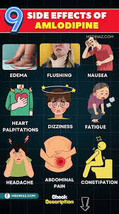 ¿Cuáles son los efectos secundarios más comunes de la amlodipina y cómo puede manejarlos?