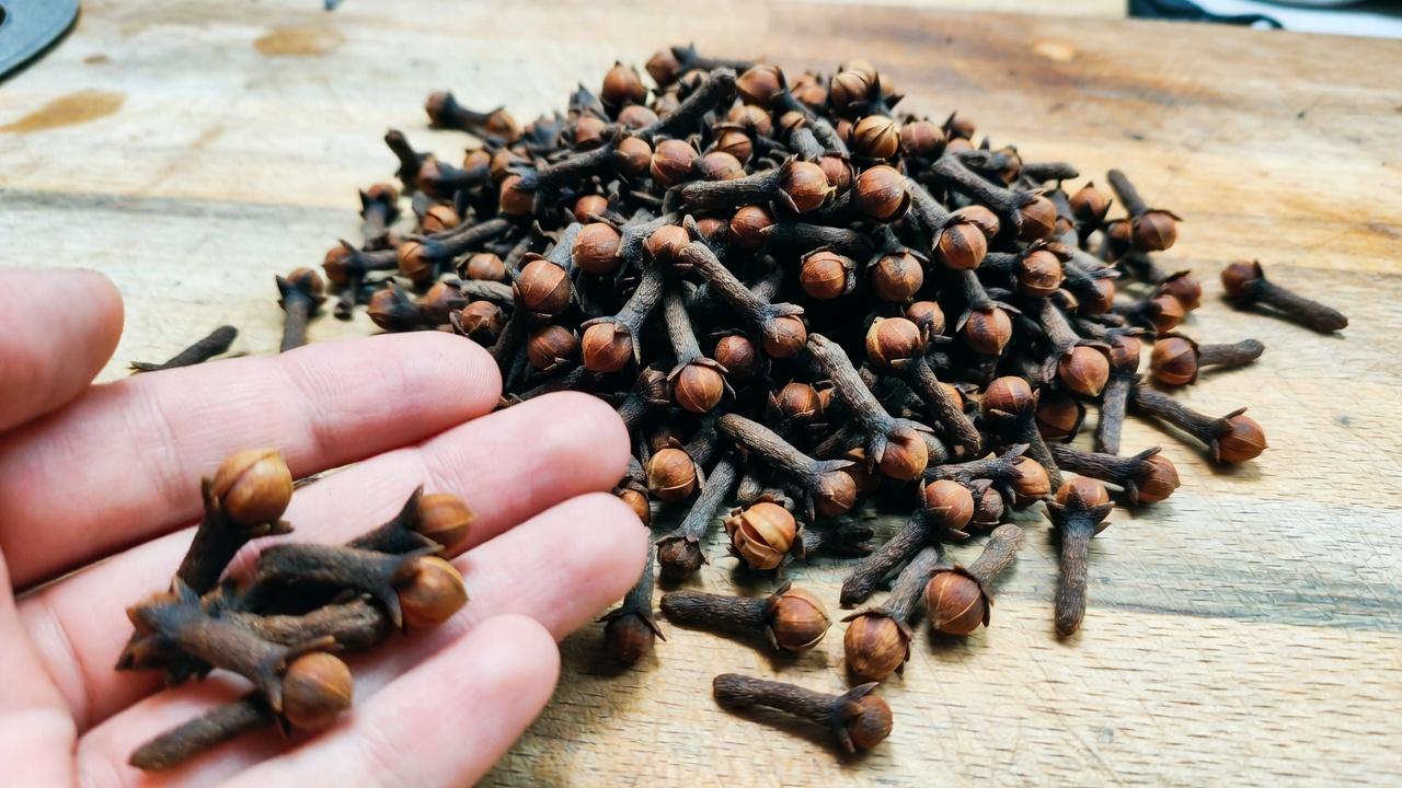 9 formas naturales de mantener los dientes más sanos y reducir la acumulación de placa