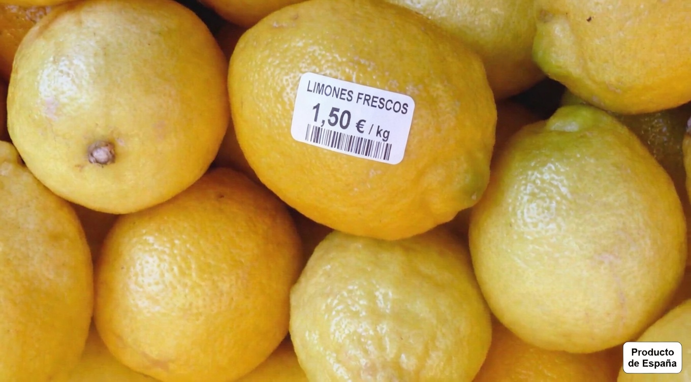 El antibiótico natural que ayuda con las infecciones de vejiga y riñón incluso después de pocos tratamientos