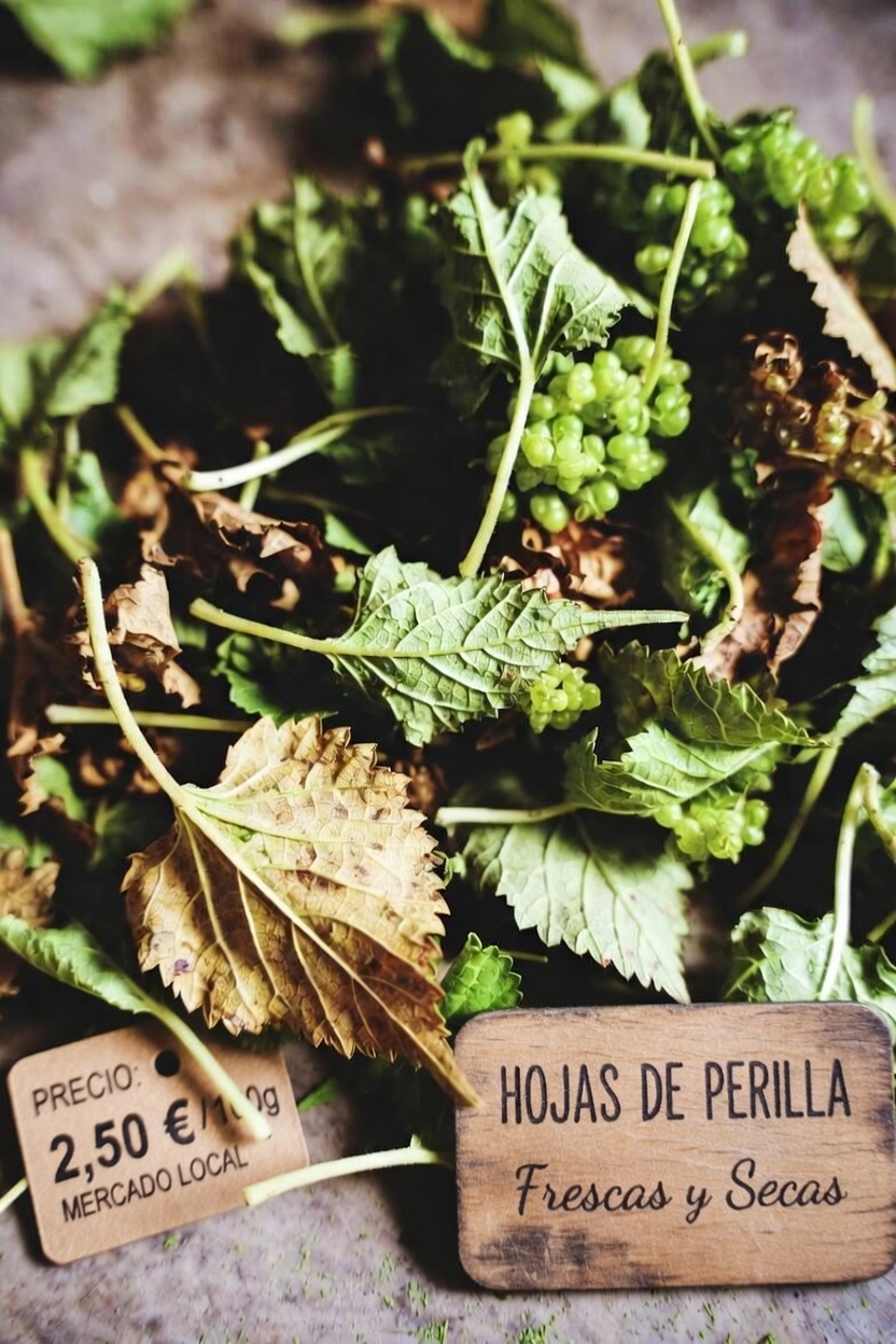 Hojas de morera: una forma natural de apoyar niveles saludables de azúcar en sangre y el bienestar del corazón mediante hábitos cotidianos