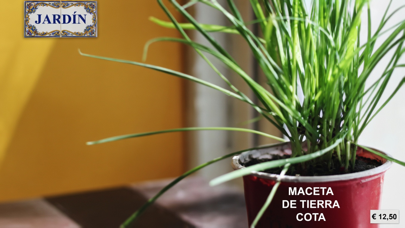 Hierba obstinada: 10 beneficios asombrosos y efectos secundarios