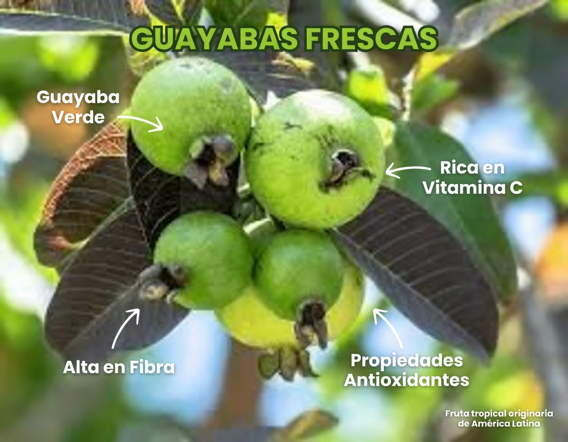 Explorando formas naturales de apoyar la salud ocular con guayaba: una guía sencilla