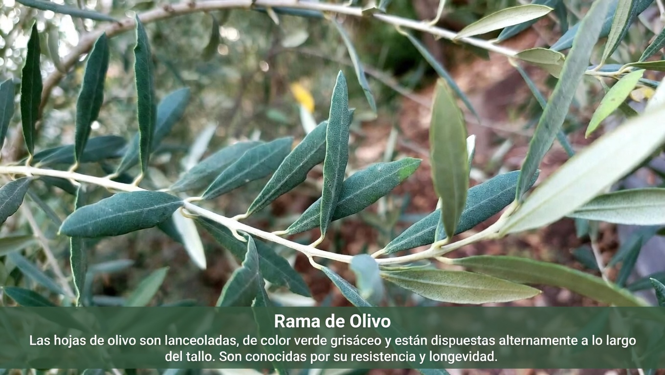 La hoja pasada por alto que podría ayudar a tu cuerpo a combatir las células cancerosas