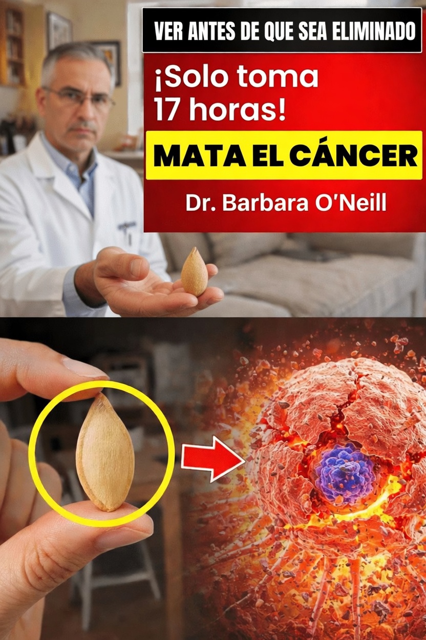 Hábitos sencillos en la cocina para adultos mayores que incorporan semillas en una alimentación saludable diaria