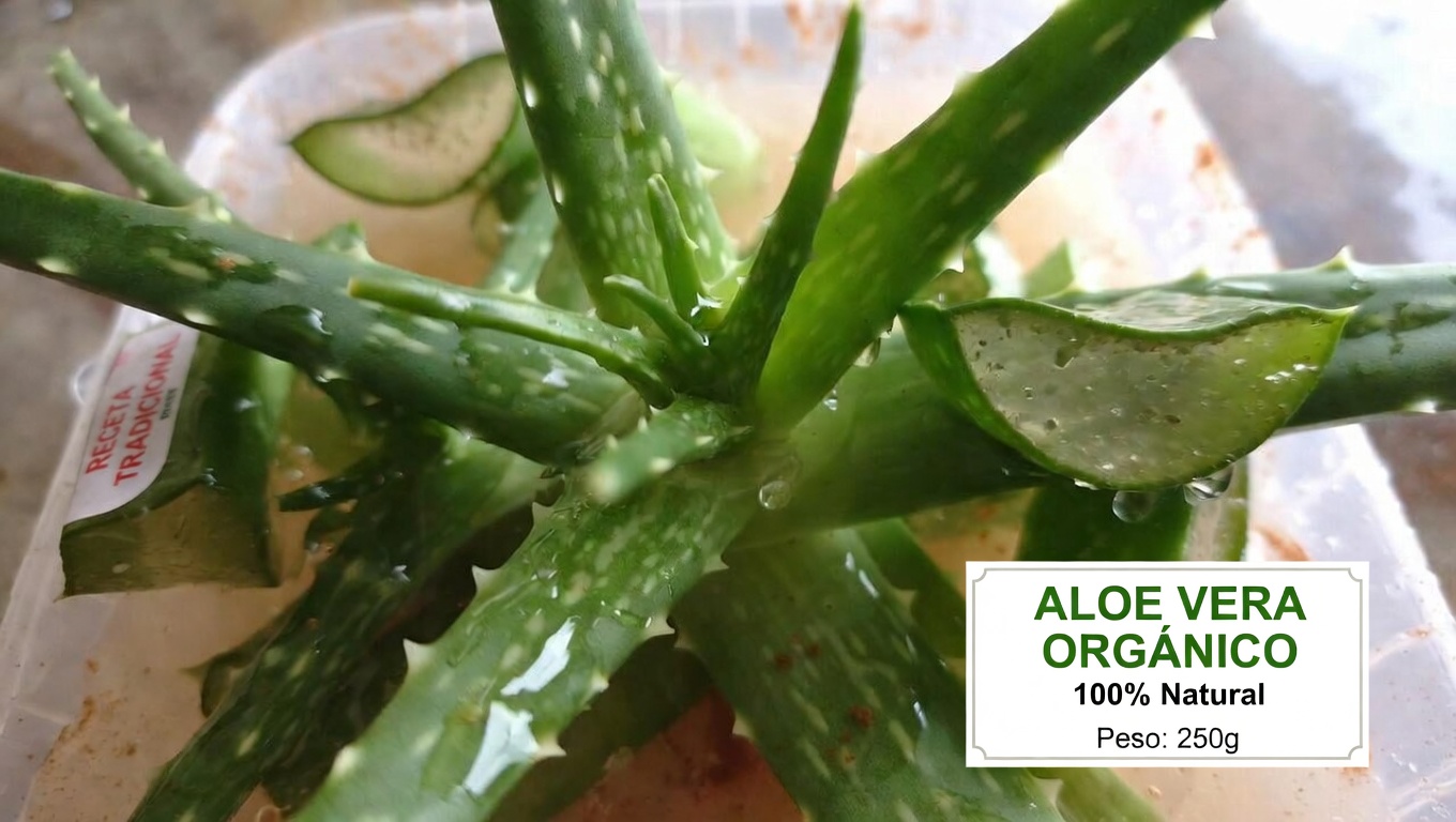 Descubre los posibles beneficios del aloe vera y la canela para el bienestar diario y el confort ocular