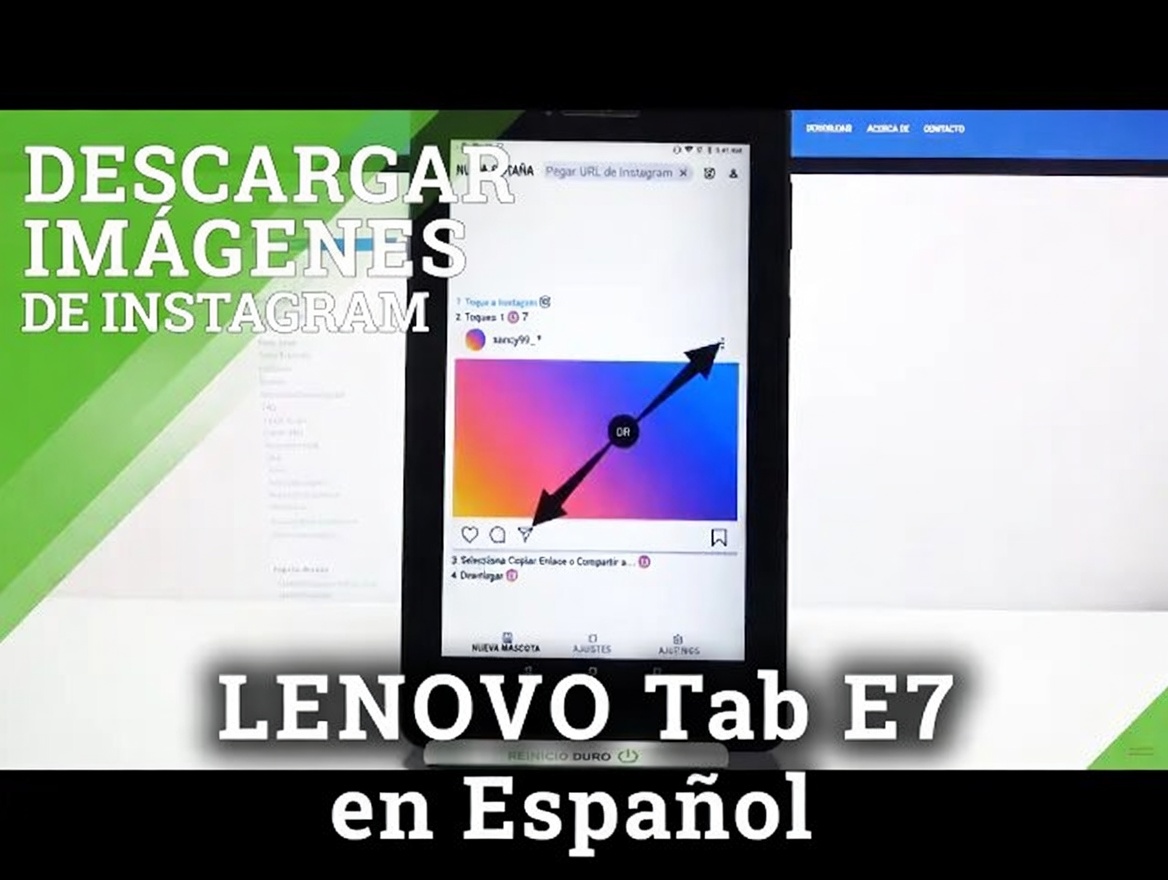 Las 15 mejores hierbas que pueden matar infecciones y eliminar la mucosidad de los pulmones