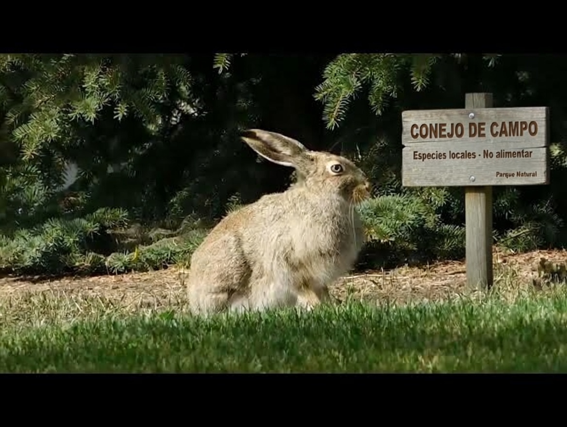 Bebe agua de clavo durante un mes entero y sucederán estas 5 cosas