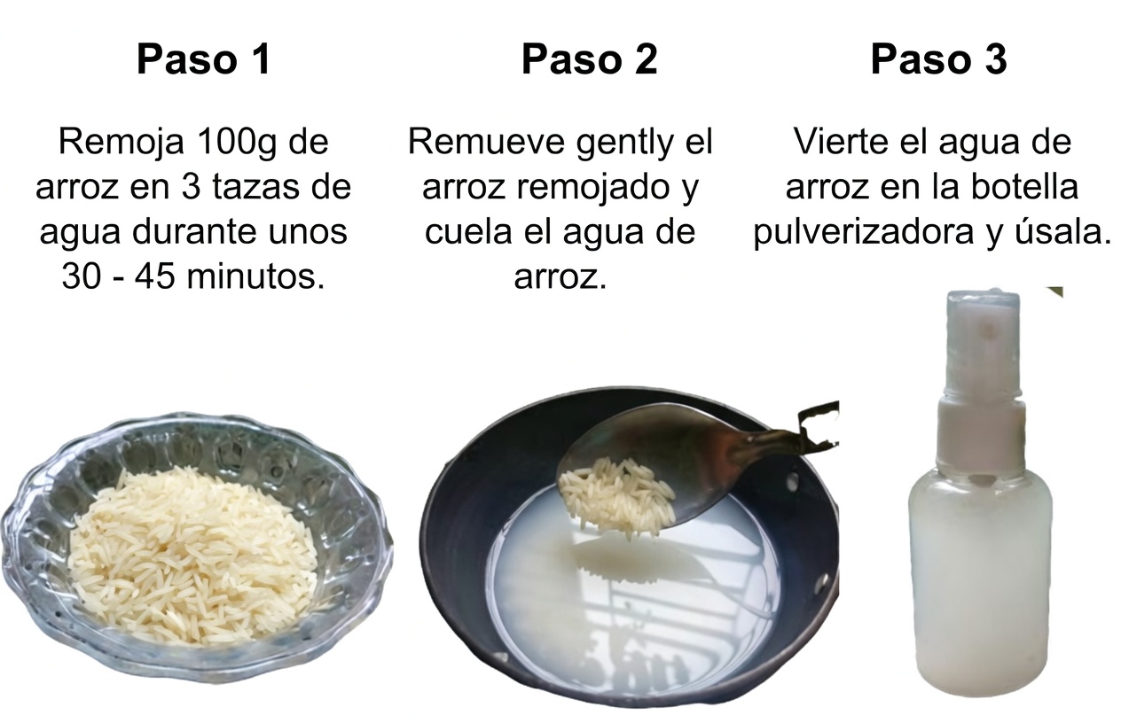 Agua de arroz para el crecimiento del cabello: cabello grueso con agua de arroz