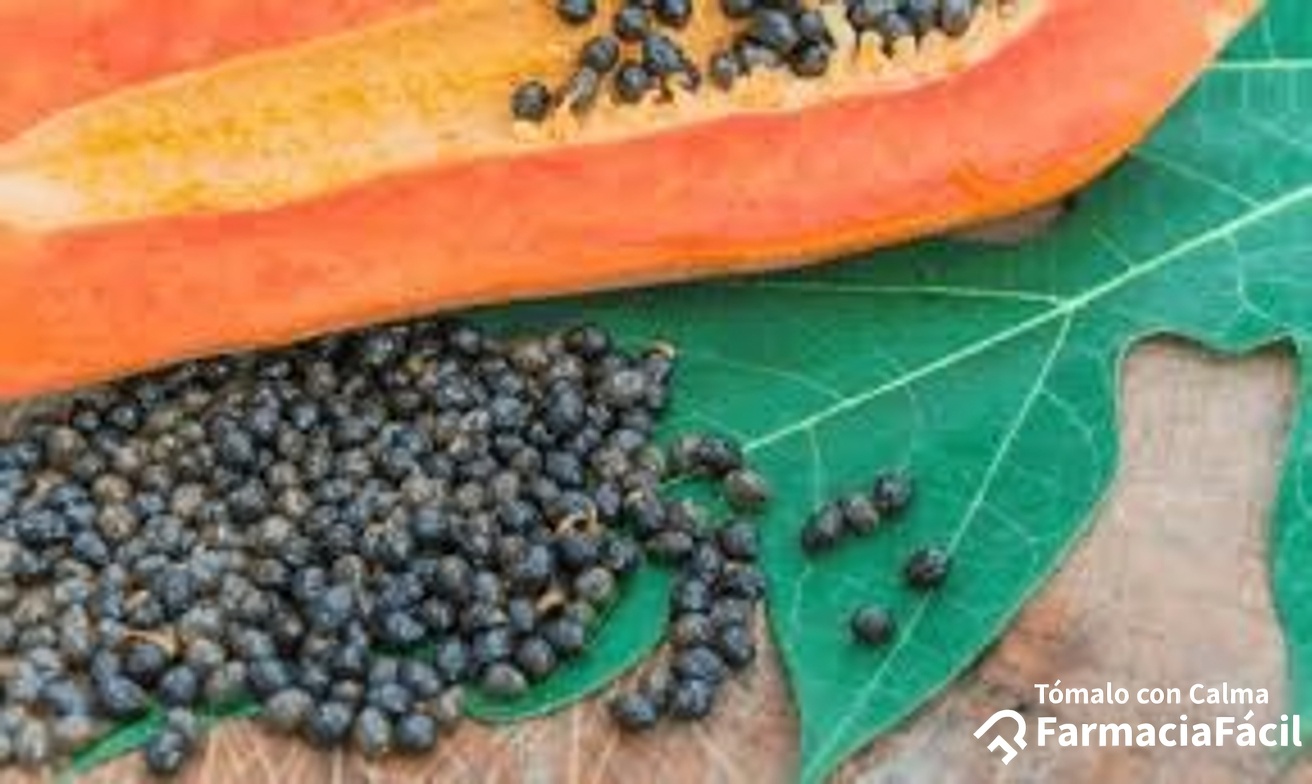 Explorando los posibles beneficios de las semillas de papaya para la salud digestiva y el bienestar general
