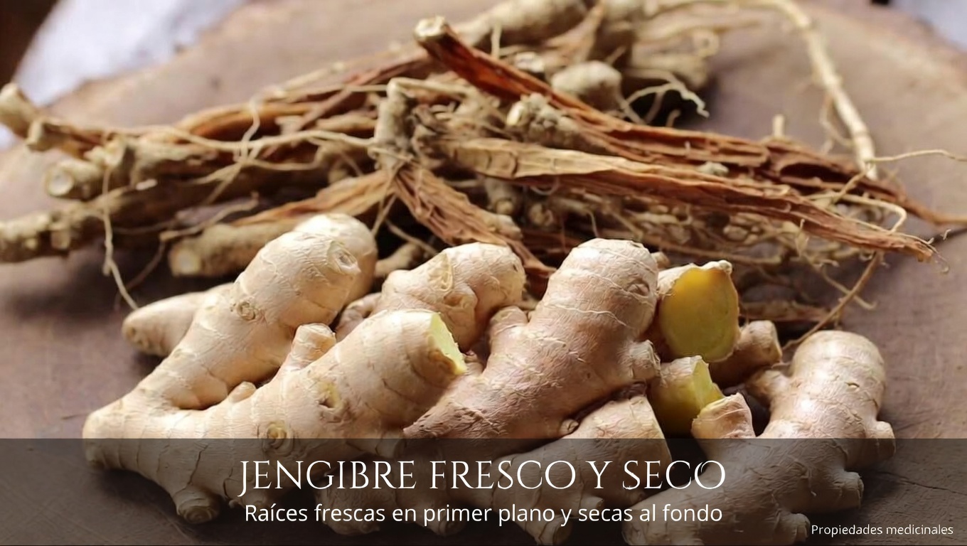 ¿Más de 60 años? Explora estos 3 tés de hierbas para favorecer una circulación saludable y pasos más firmes en tus caminatas diarias