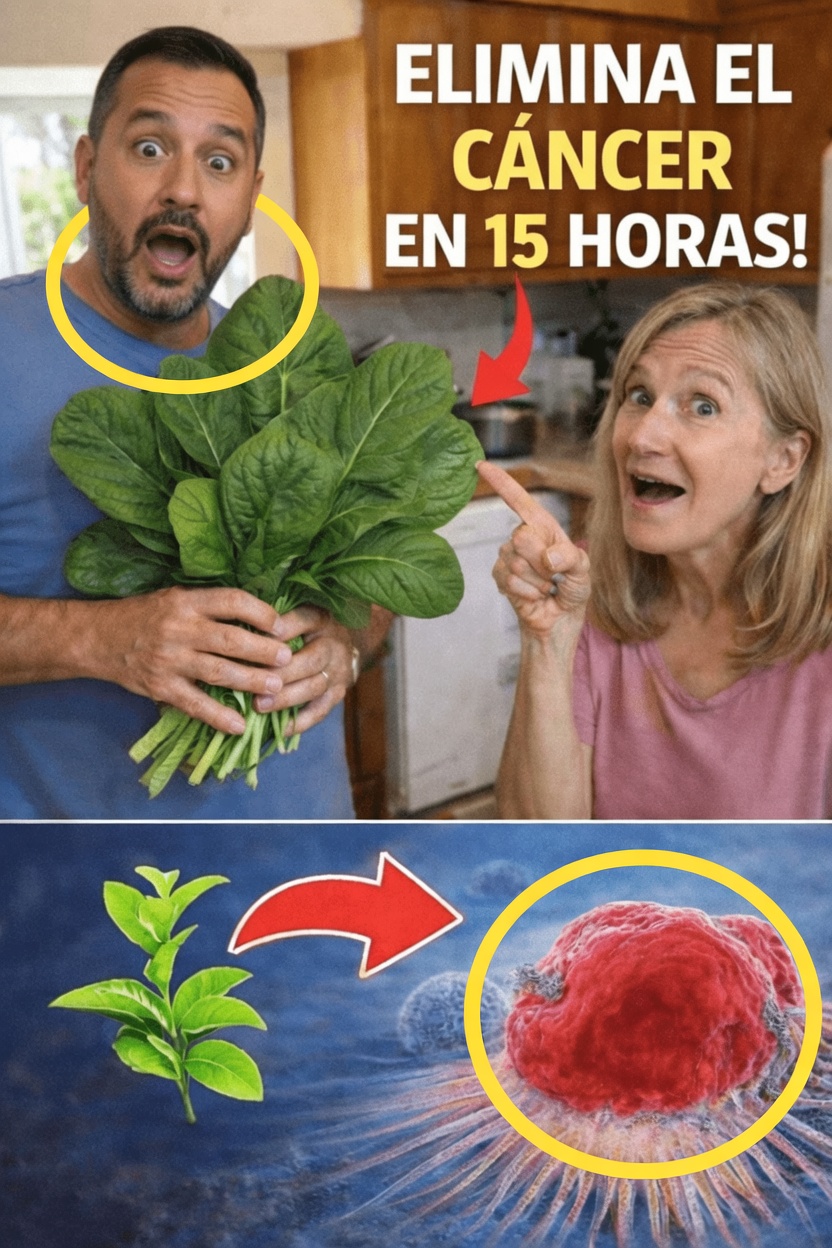 ¿Por qué se habla de las verduras de hoja verde y la prevención del cáncer?