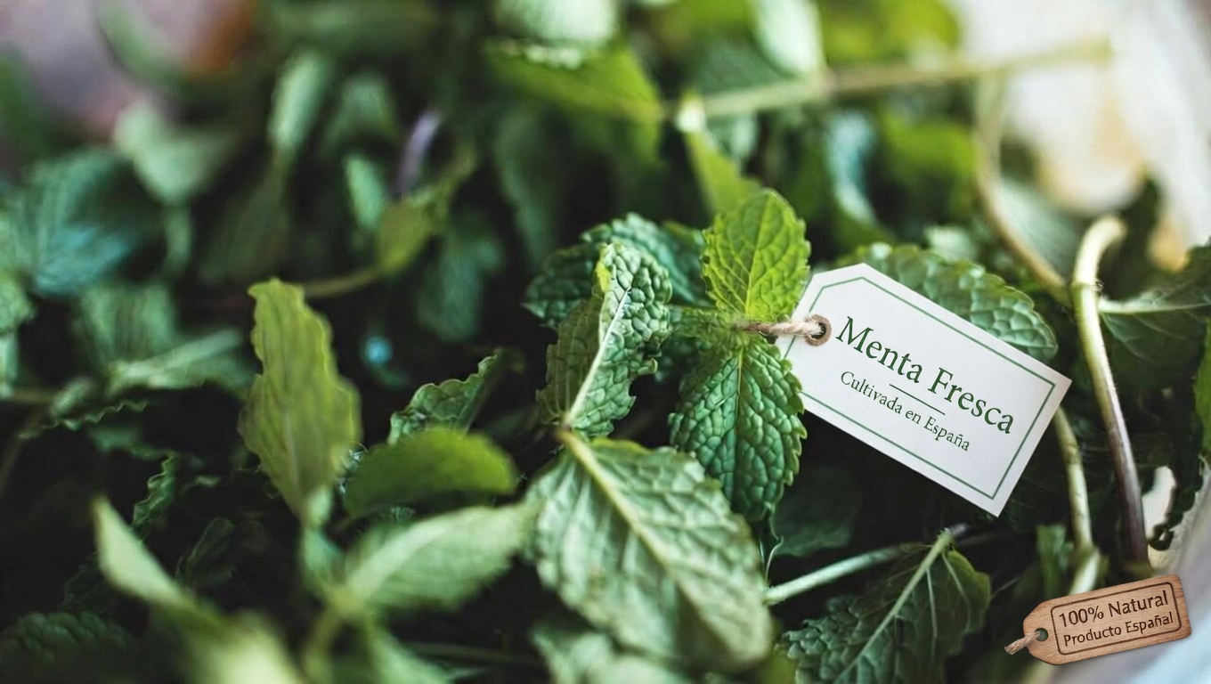 Por Qué Vale la Pena Considerar las Hojas de Menta para el Cuidado de la Vista